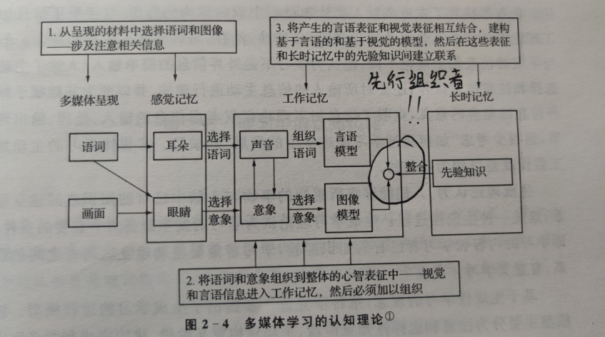 多媒体学习认知理论